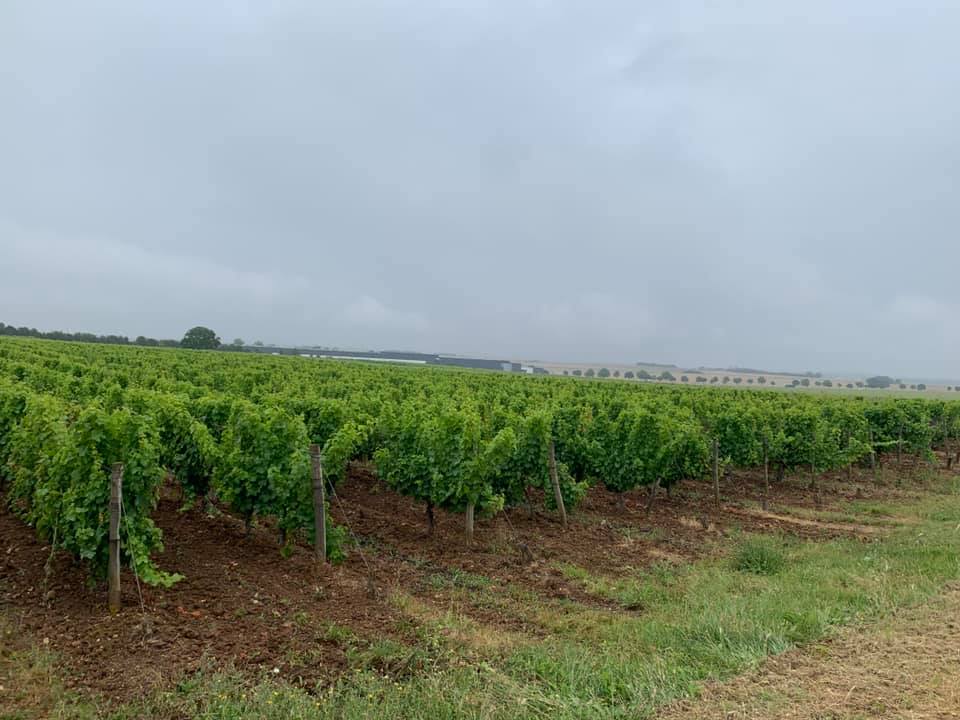 Domaine de la Roussille - photo 2