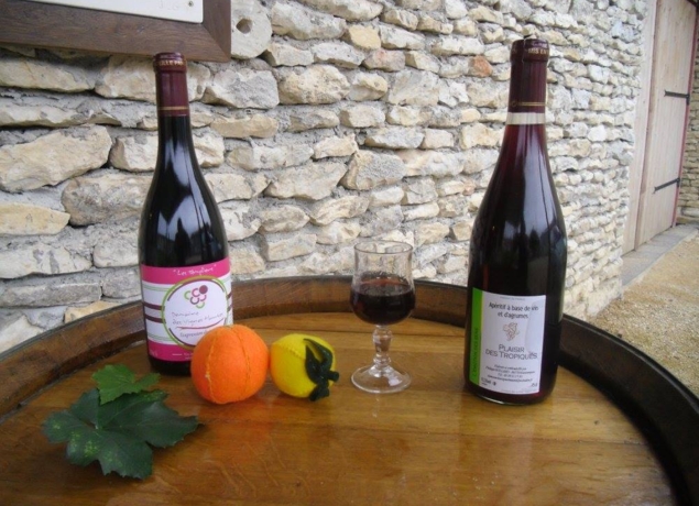 Domaine des Vignes Hautes - photo 1