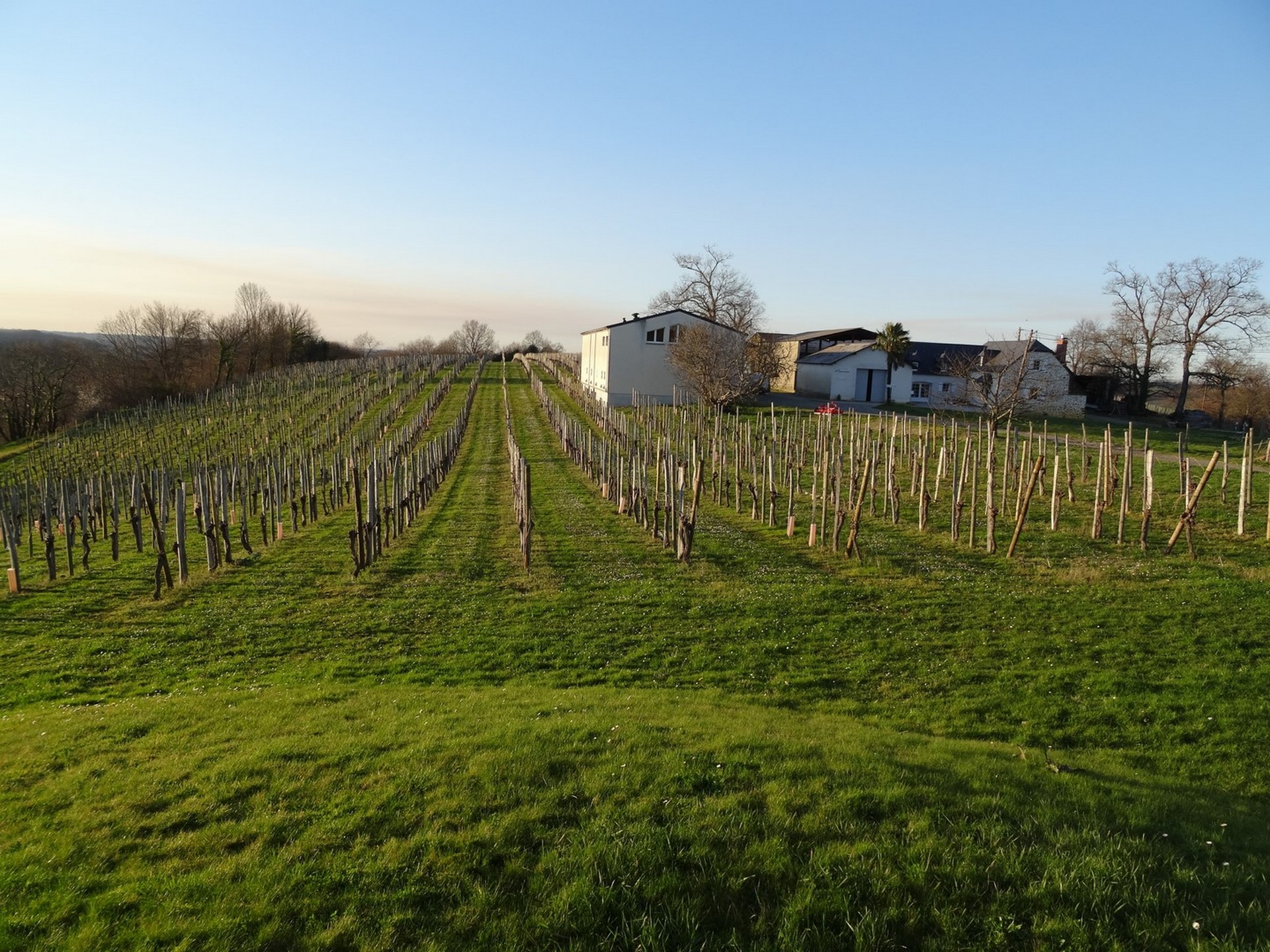 Domaine Montaut