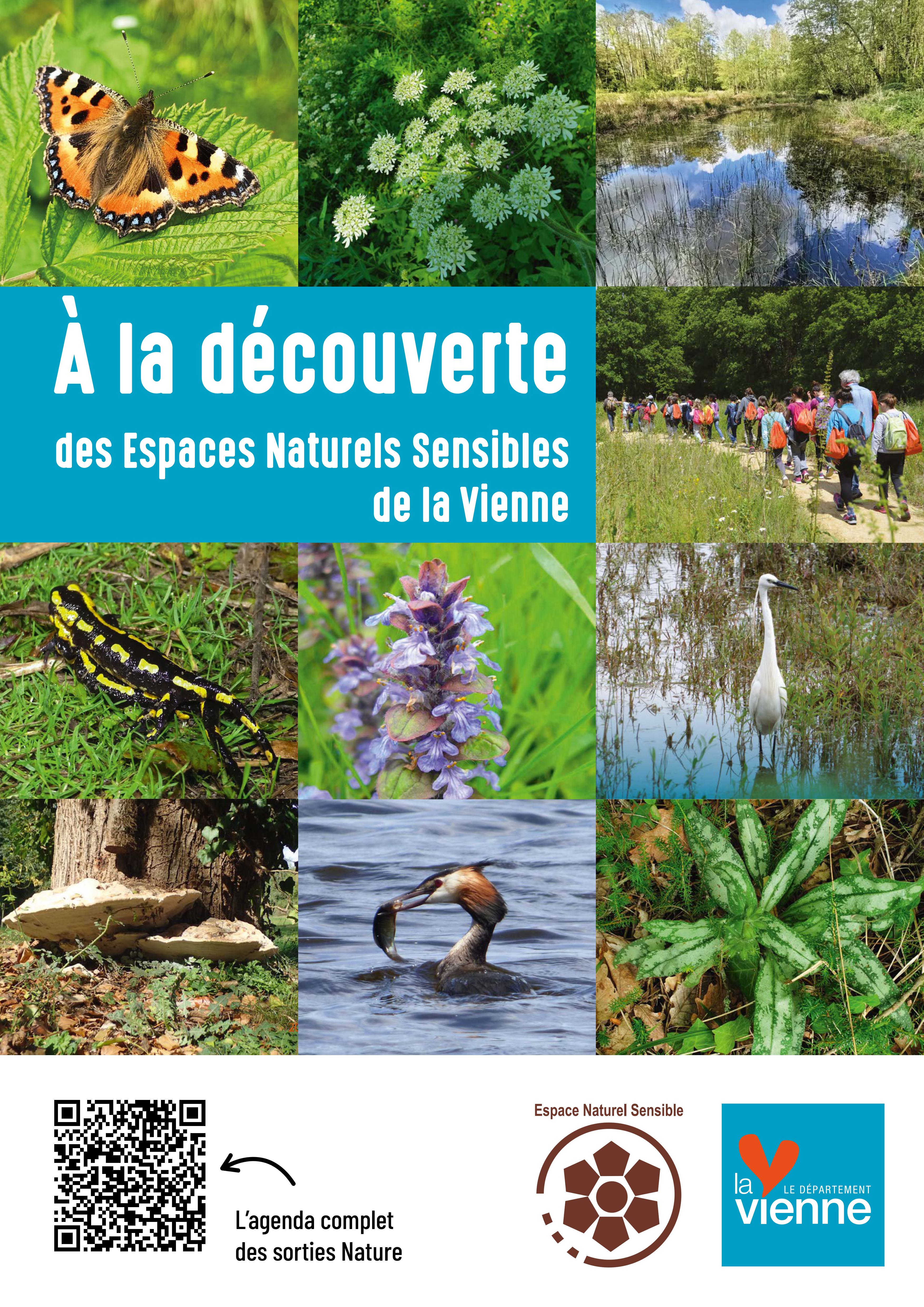 A la découverte des Espaces Naturels Sensibles de la Vienne - Découverte des champignons en terrain calcaire