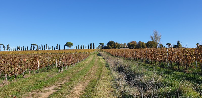 Affiche ou photo : Malagar autrement - Entre les vignes, Mauriac et Toulouse-Lautrec