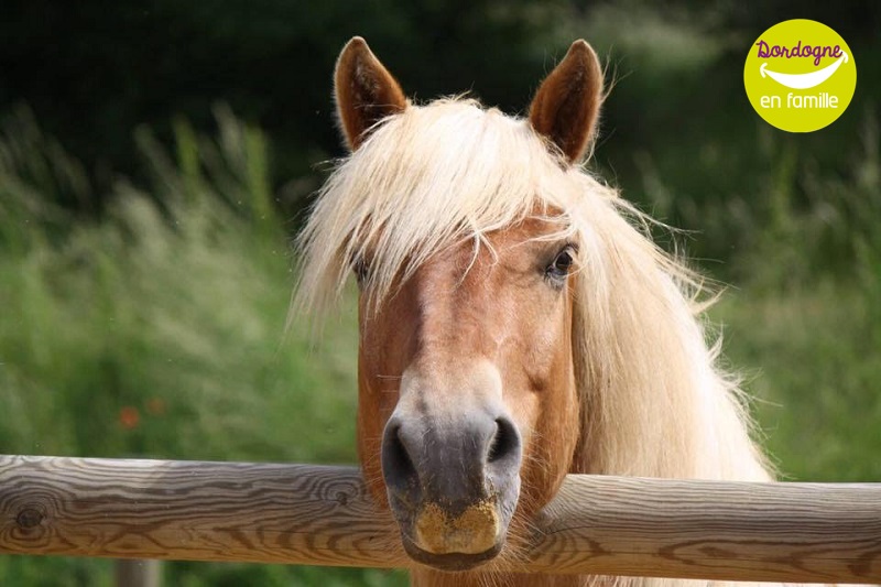 Equi'Périgord