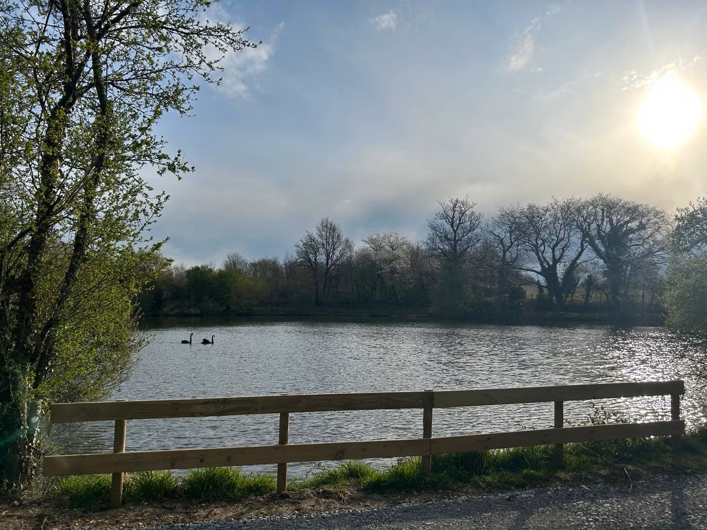Les Étangs du Cygne Noir
