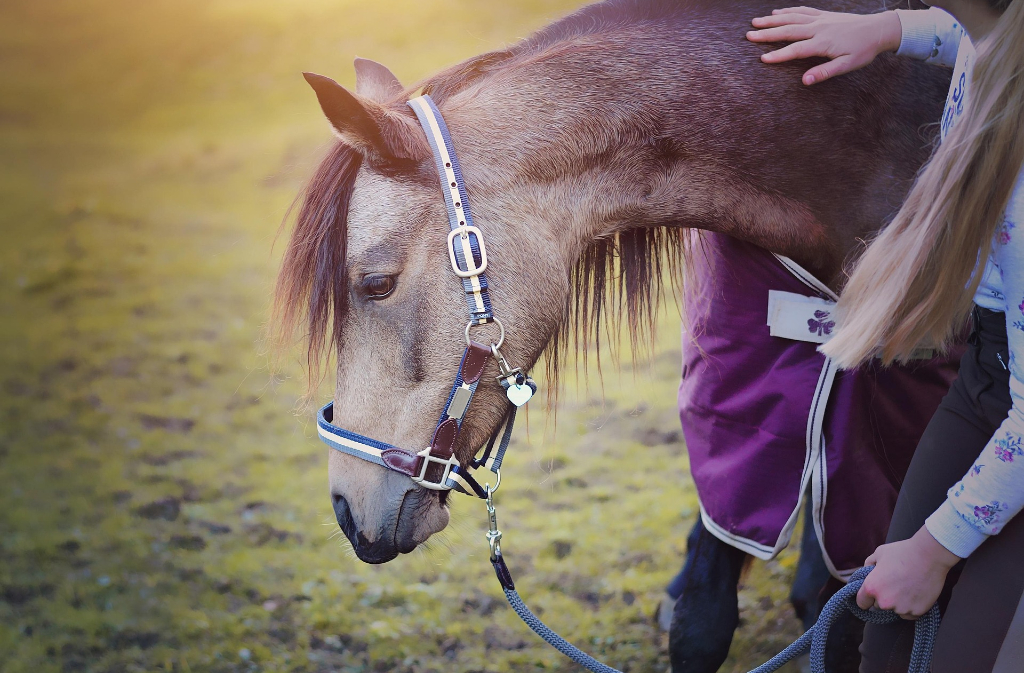 ÉTÉ ACTIF | Équitation à poney pour enfant