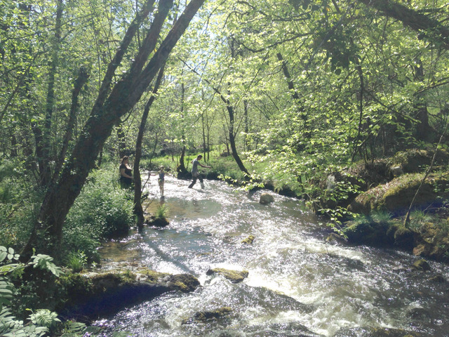 L'éveil de la Forêt - le gîte du Moulin