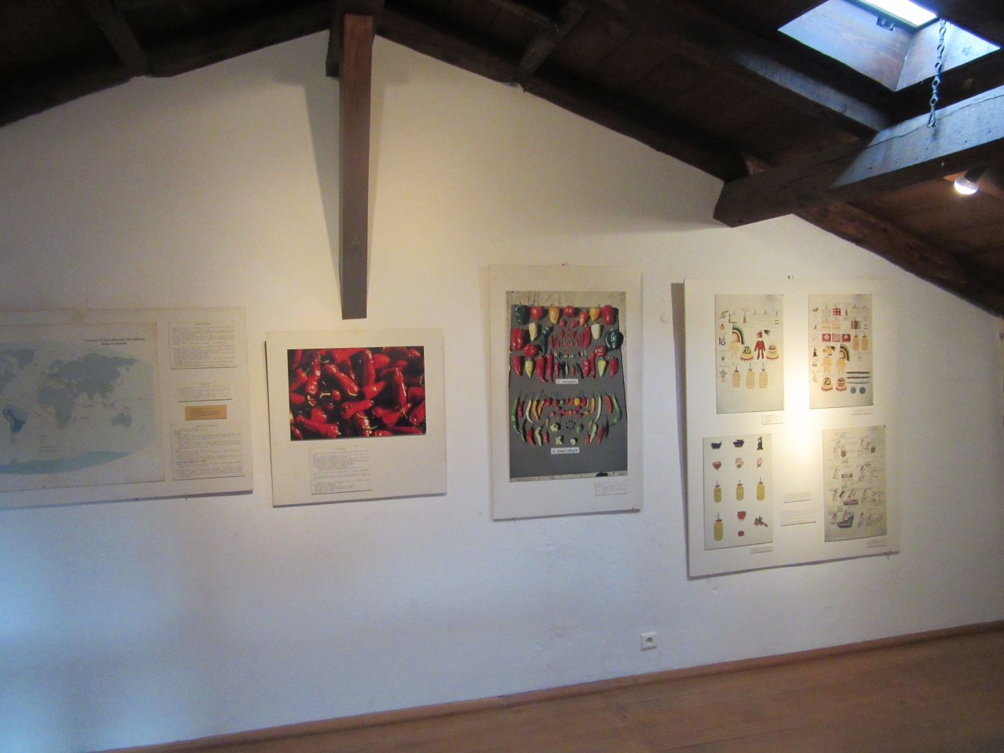 Exposition le Piment dans le Monde