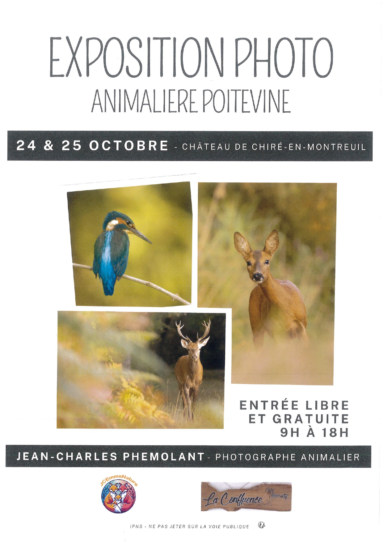 Exposition photo animalière poitevine - photo 2