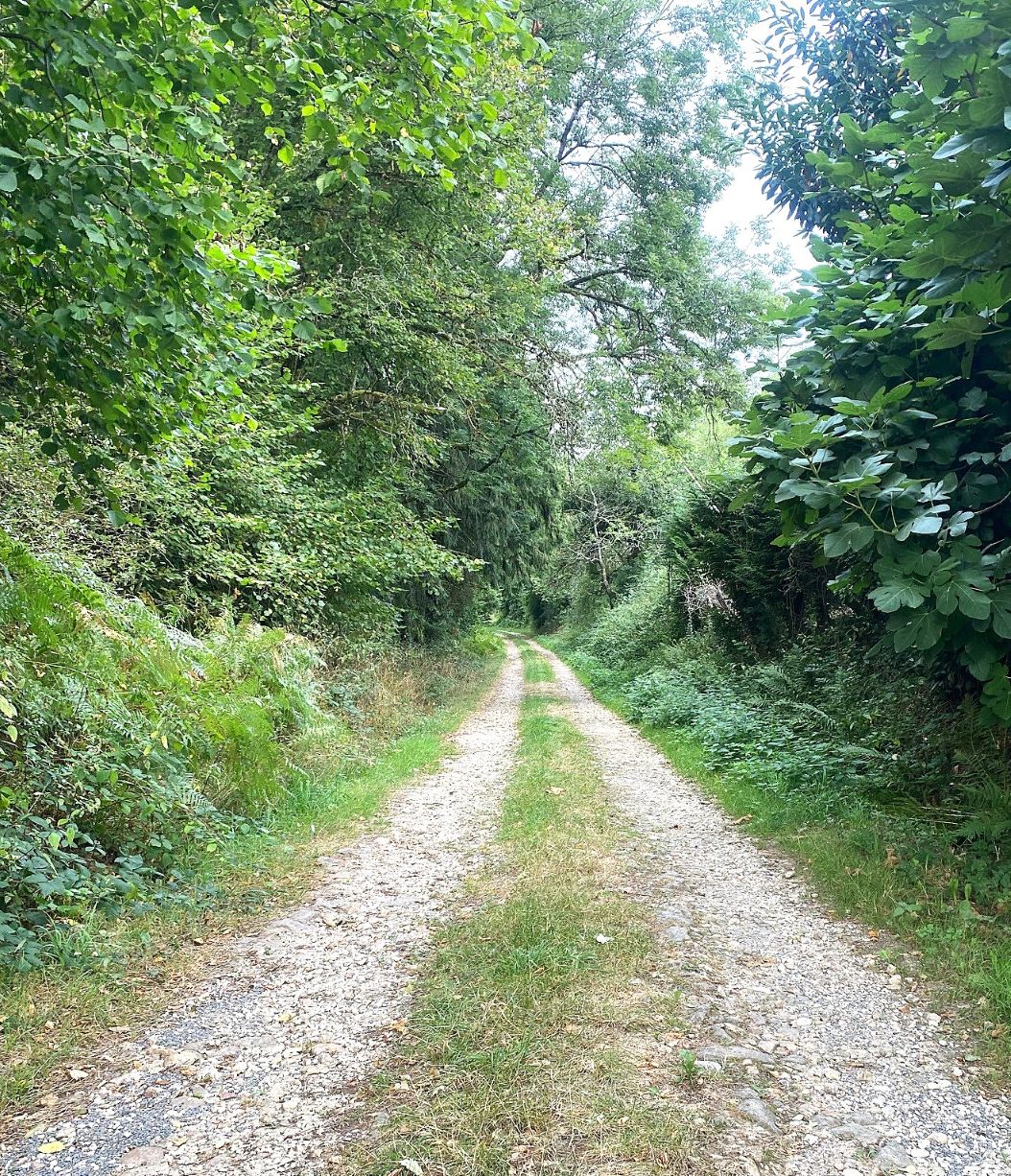 Boucle des étangs
