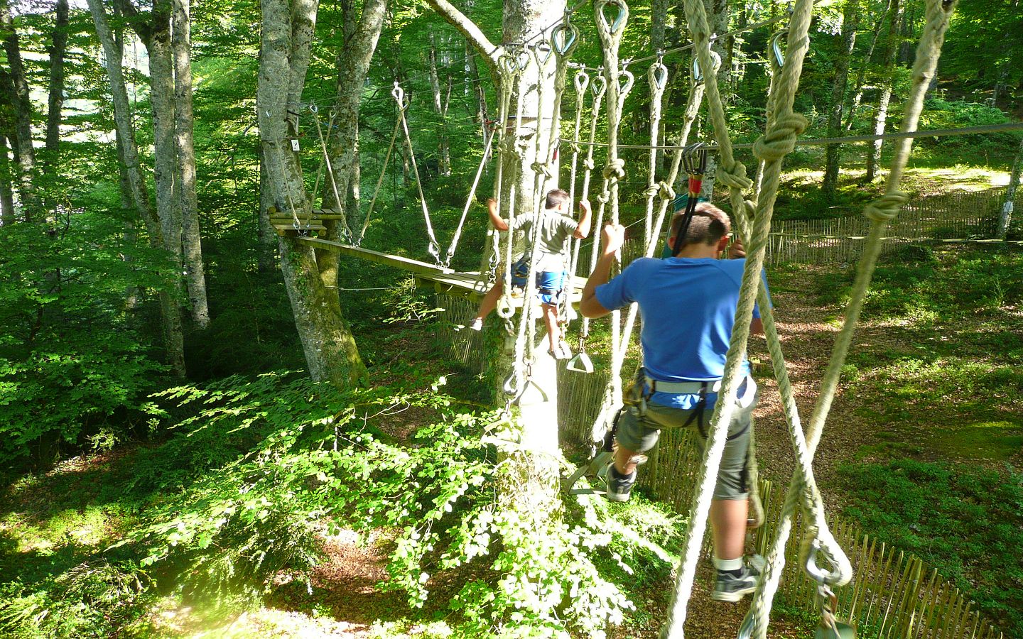 La Forêt Suspendue