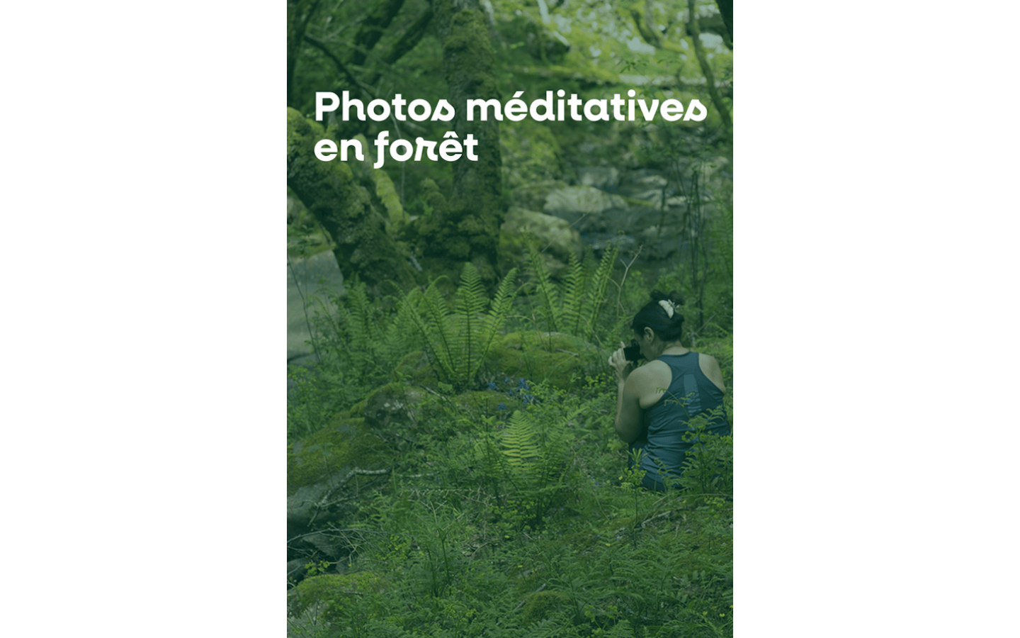 Photos méditatives en forêt