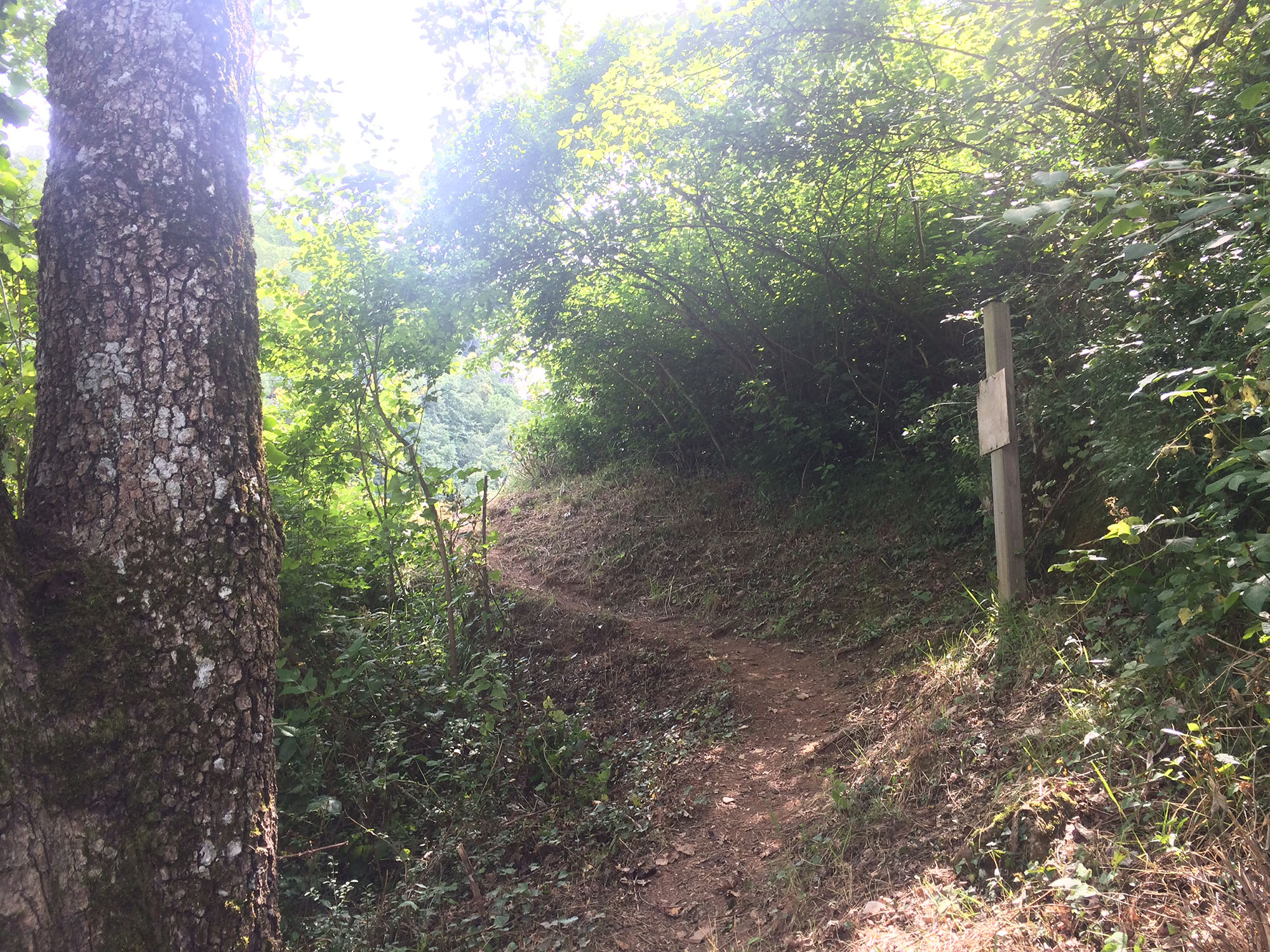 Voie escalade : Falaise du Hourat