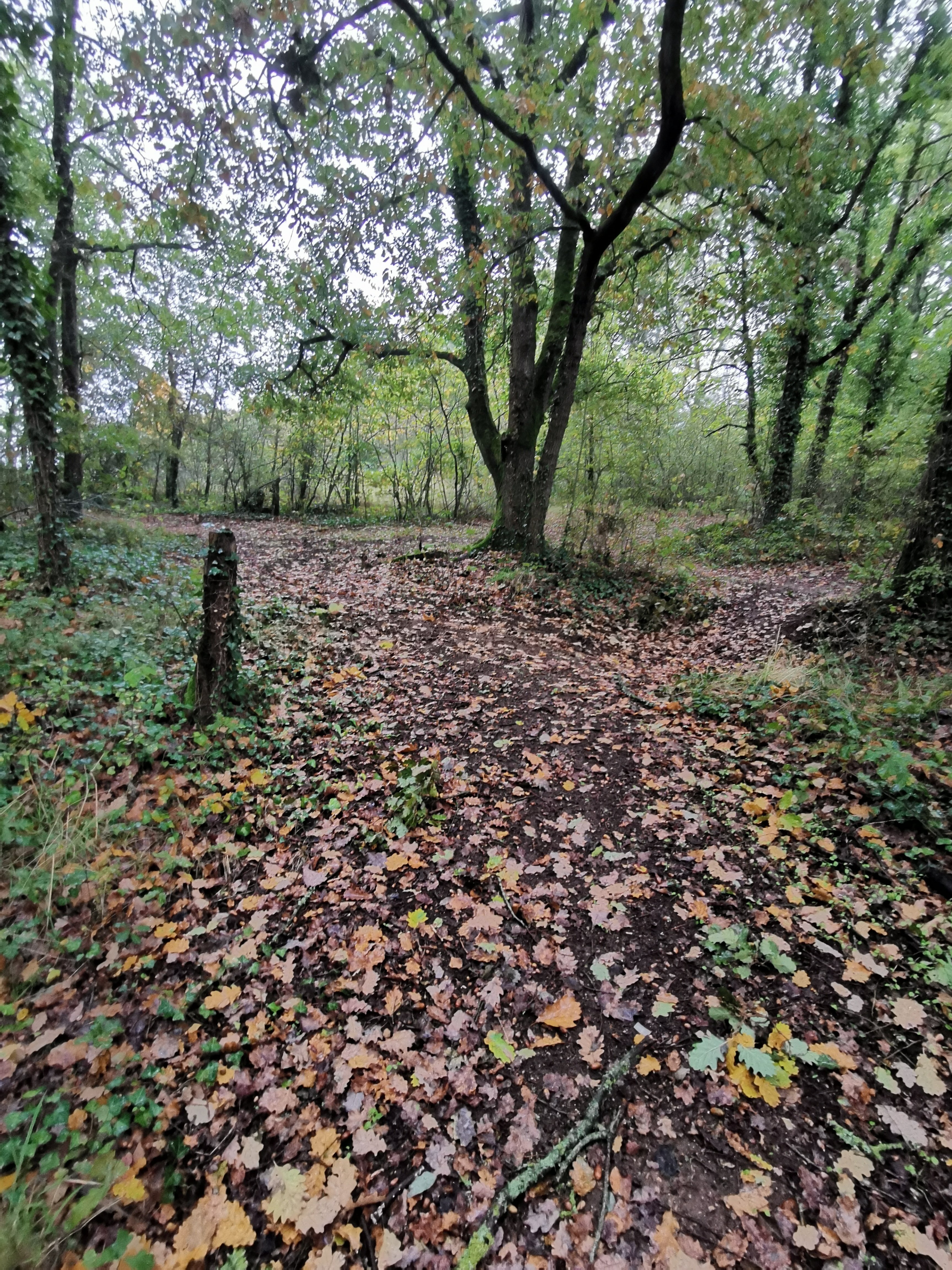 Falunières d'amberre - photo 5