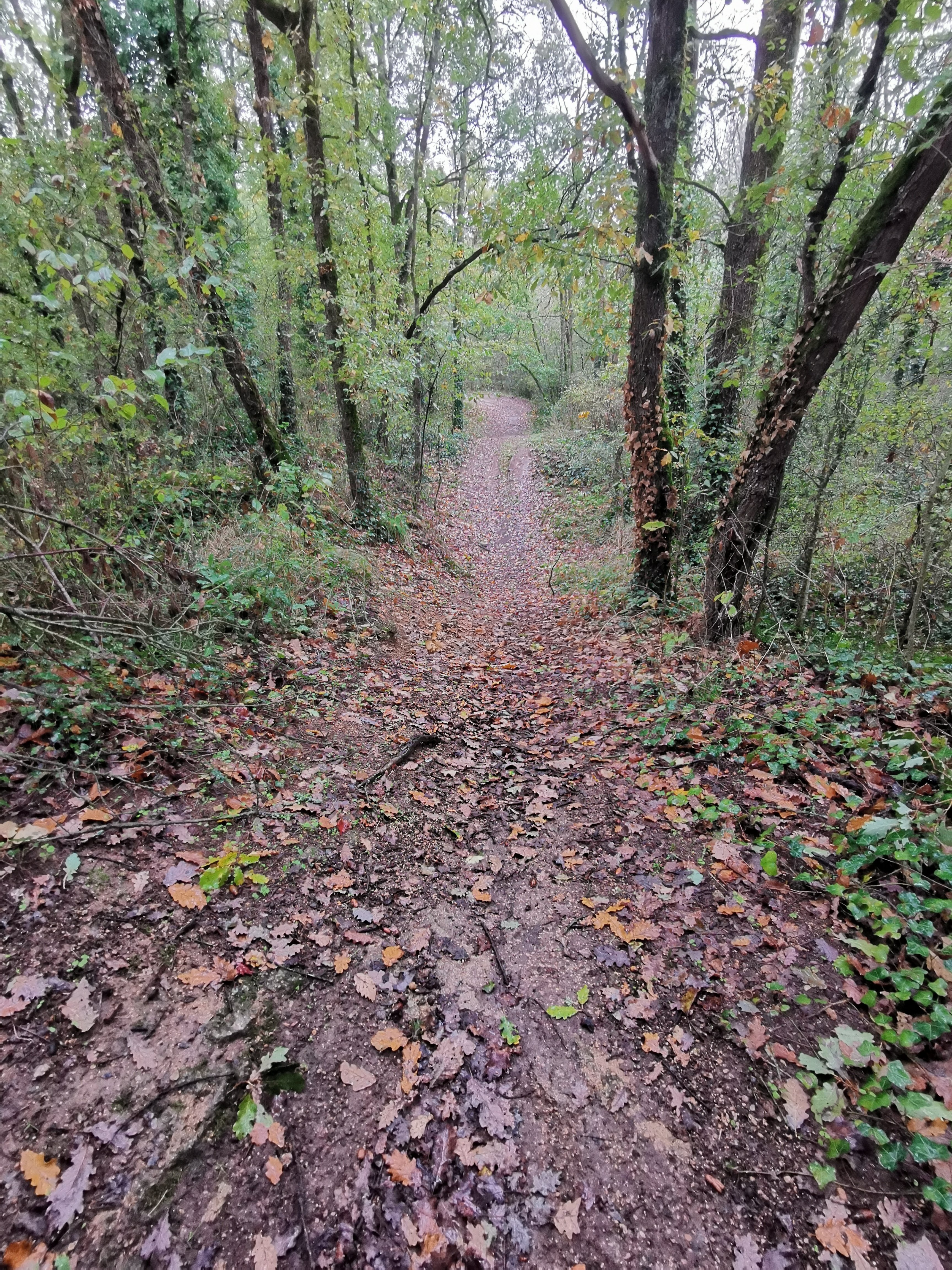 Falunières d'amberre - photo 6