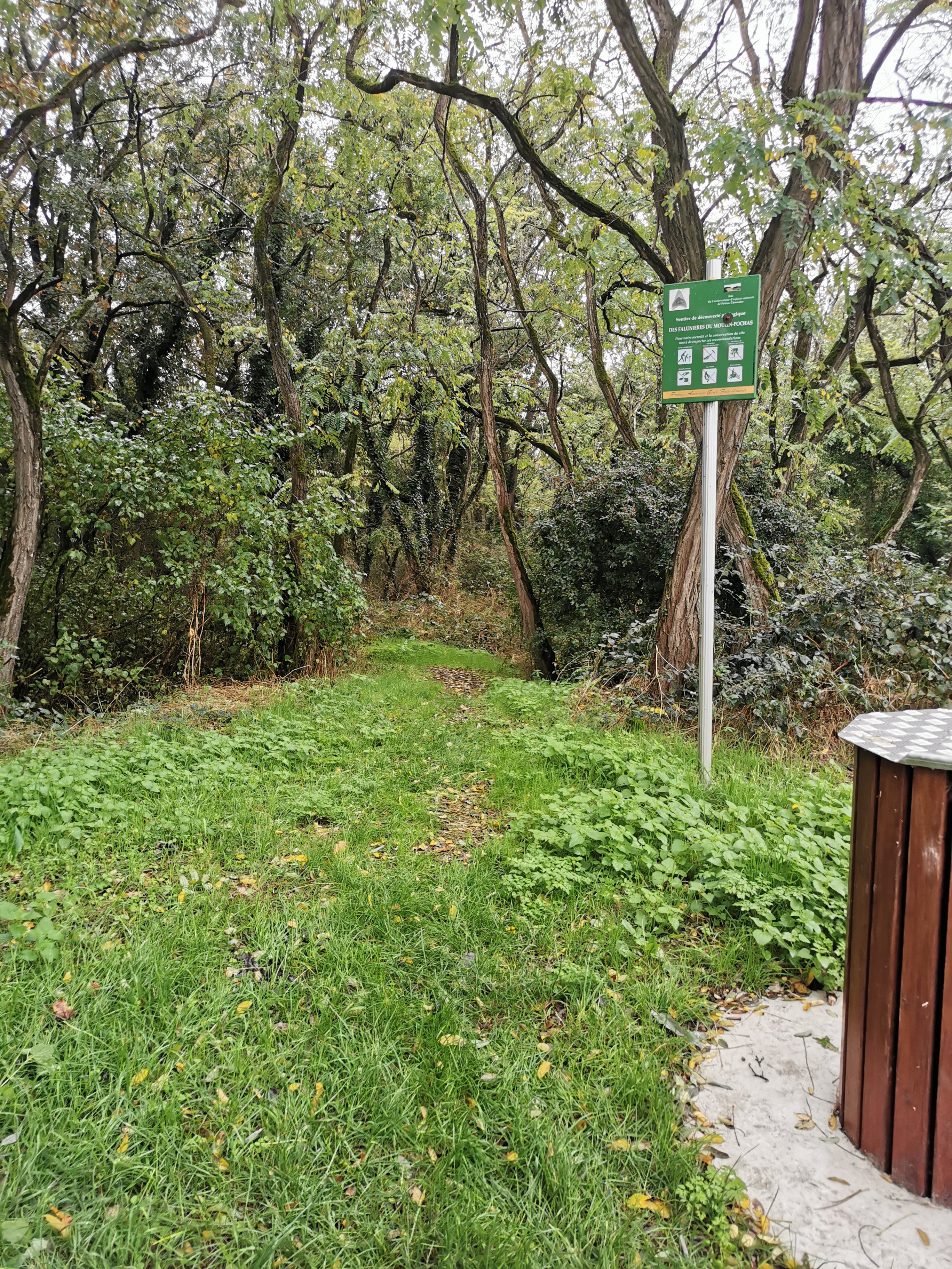 Falunières d'amberre - photo 4