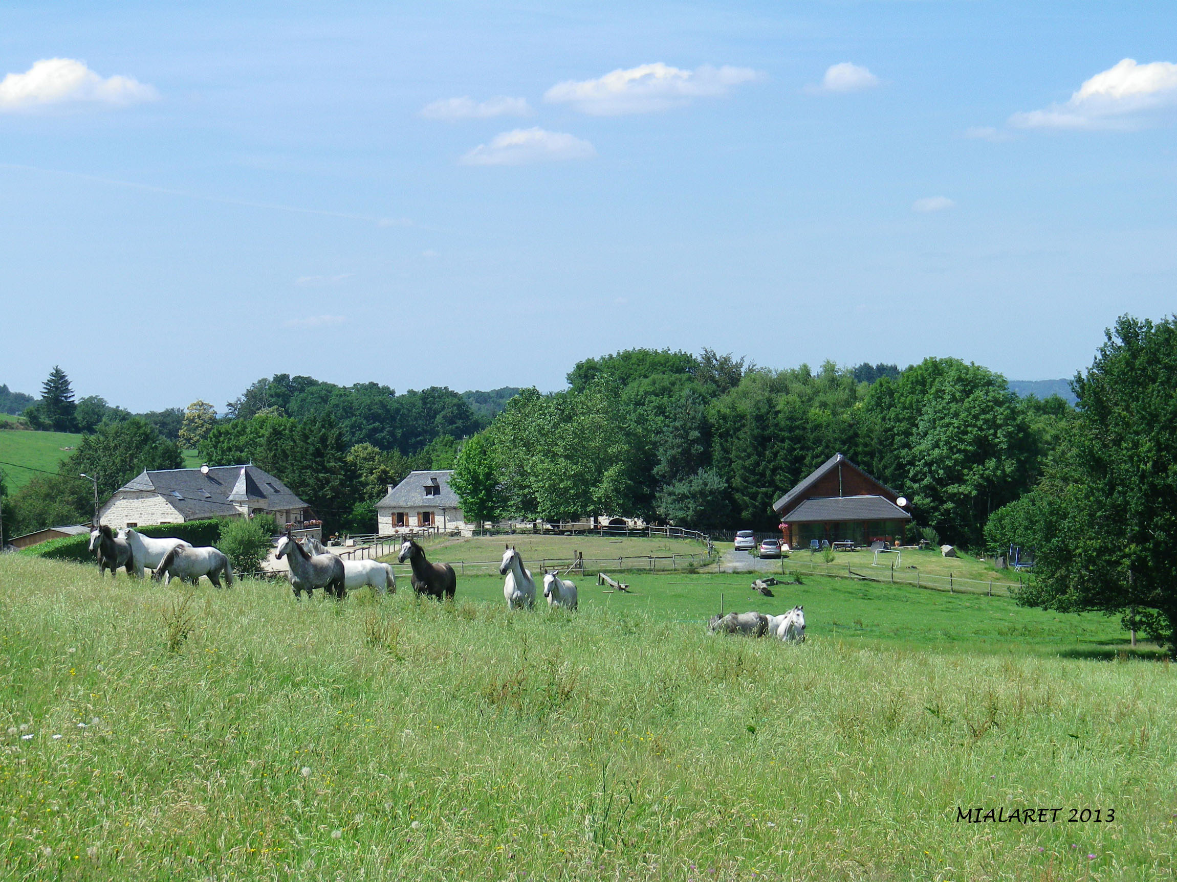 Ferme équestre de Mialaret, Camps-Saint-Mathurin-Léobazel - photo 5
