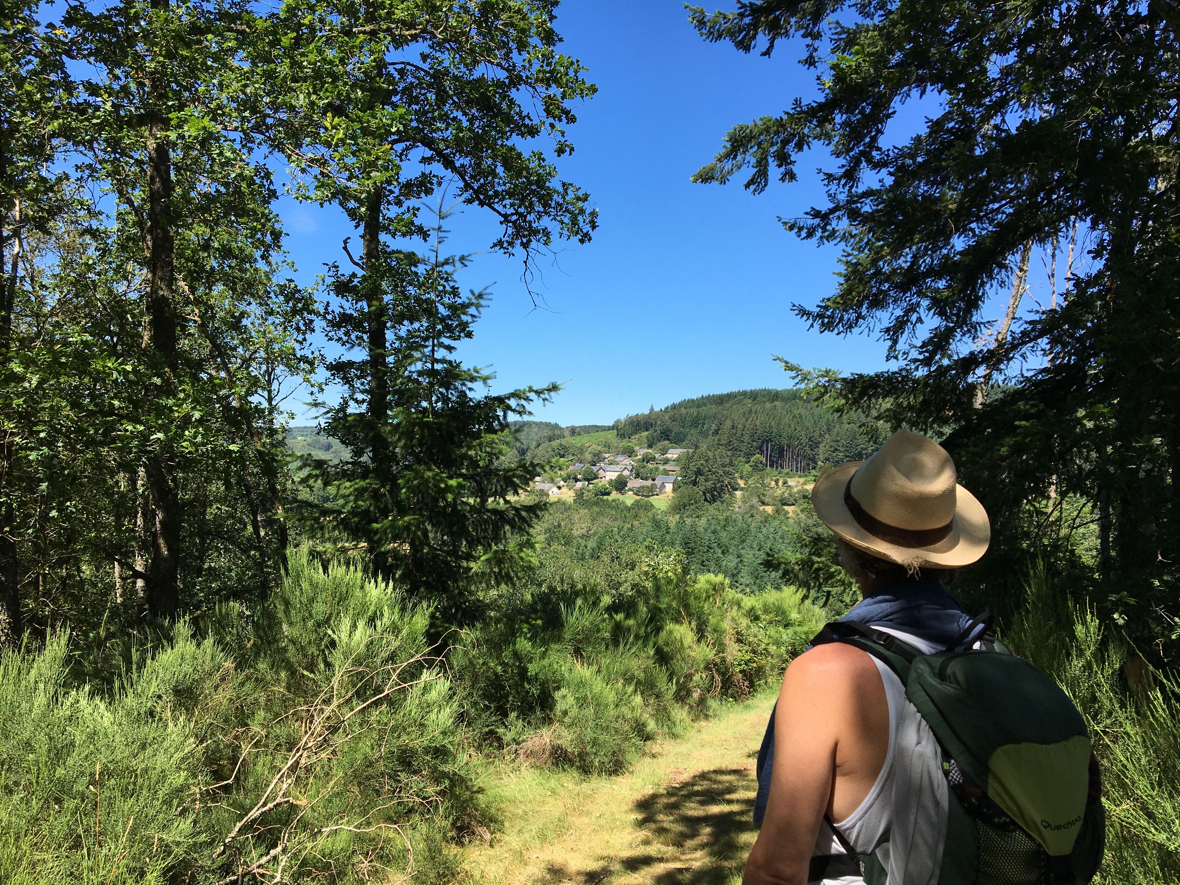 Forêt de la Cubesse