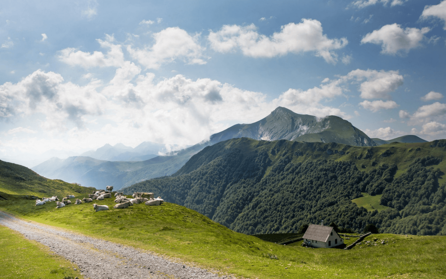 Forêt d'Iraty : panoramas époustouflants