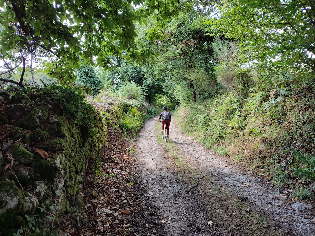 GRP®Monts et Barrages en Limousin - Etape 6 - D'Eymoutiers à Sussac