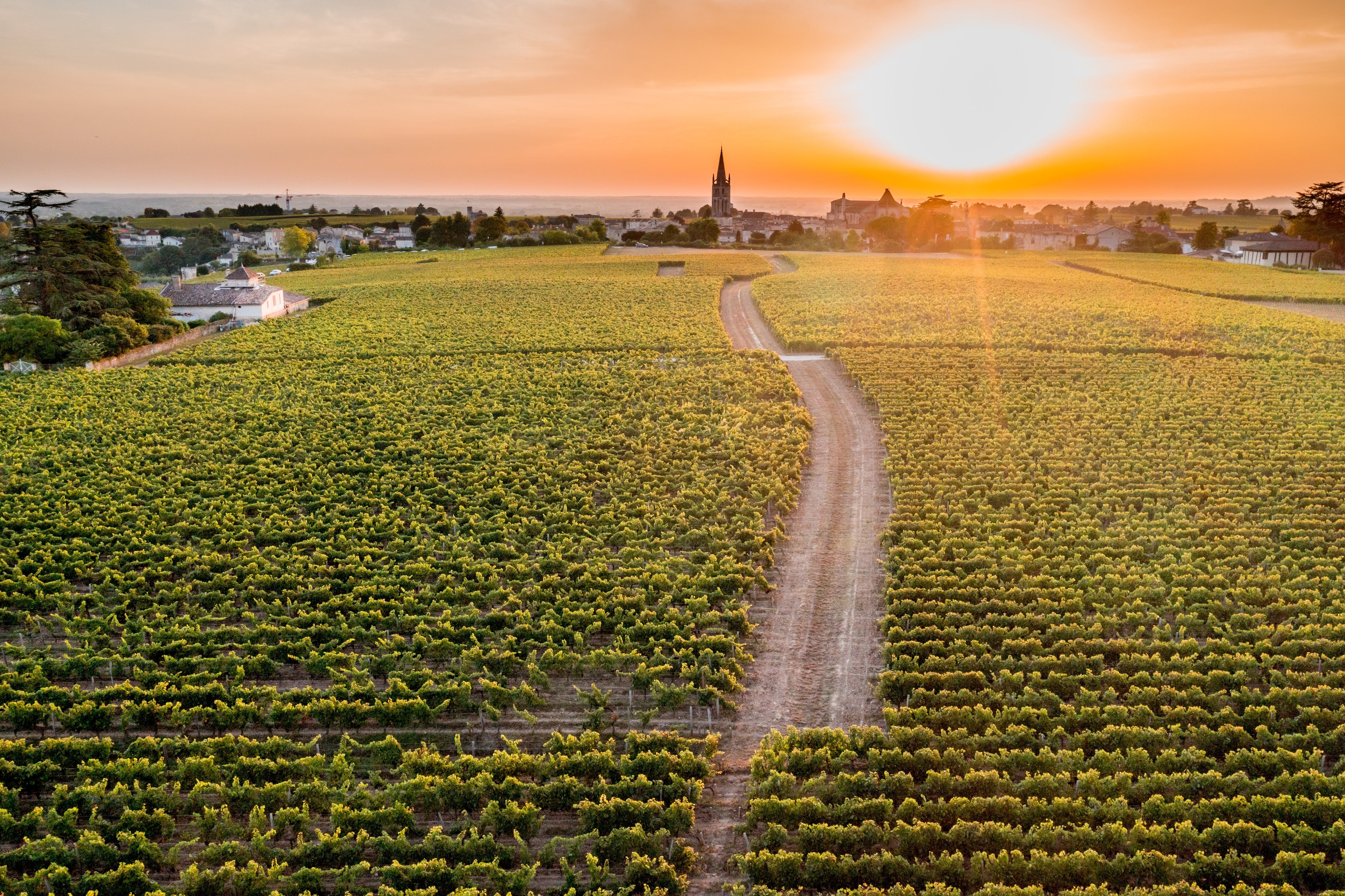 Itinerari ciclistici iconici: la chiesa monolitica di Saint-Emilion