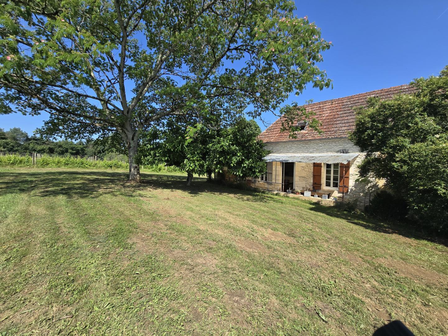 La ferme et son vignoble