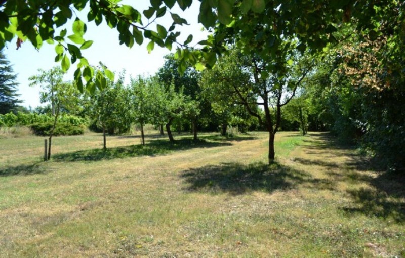 Gîte Prunier