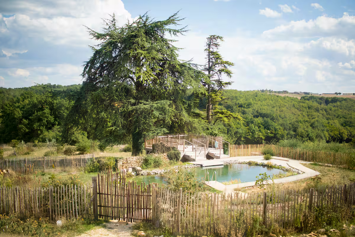 Le chant des pierres Le cottage des Acacias
