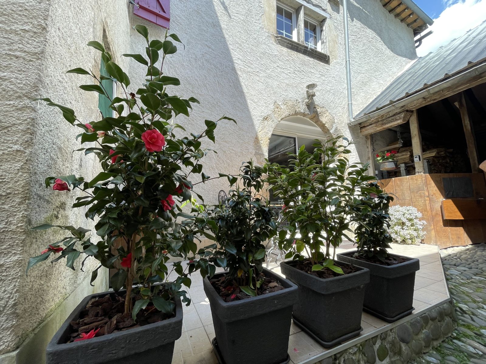 Gîte l'écurie