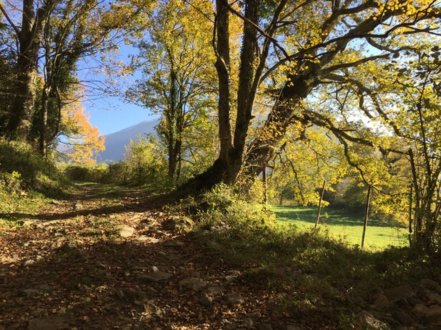Gîte Le Beau Lavoir