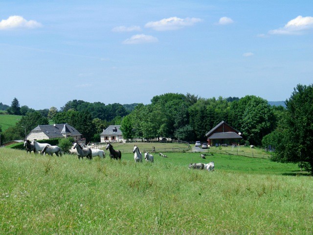 SARL Ferme Équestre du Mialaret - Gîte d'Étape 8 personnes, Camps-Saint-Mathurin-Léobazel - photo 3