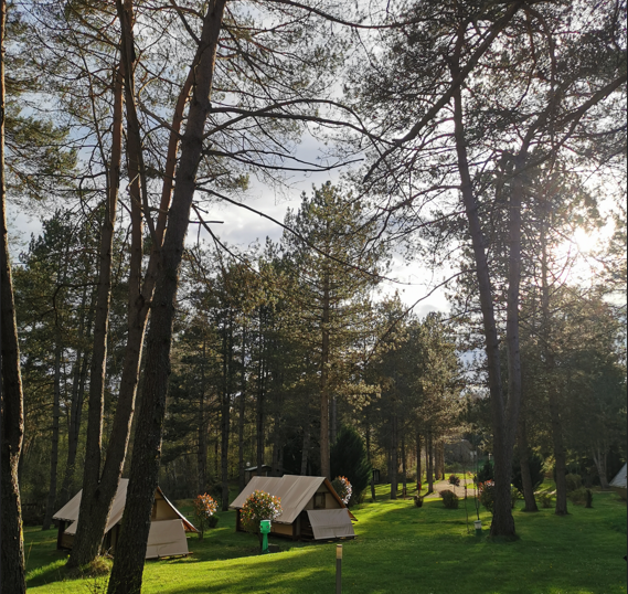 Camping les Sapins de Correze