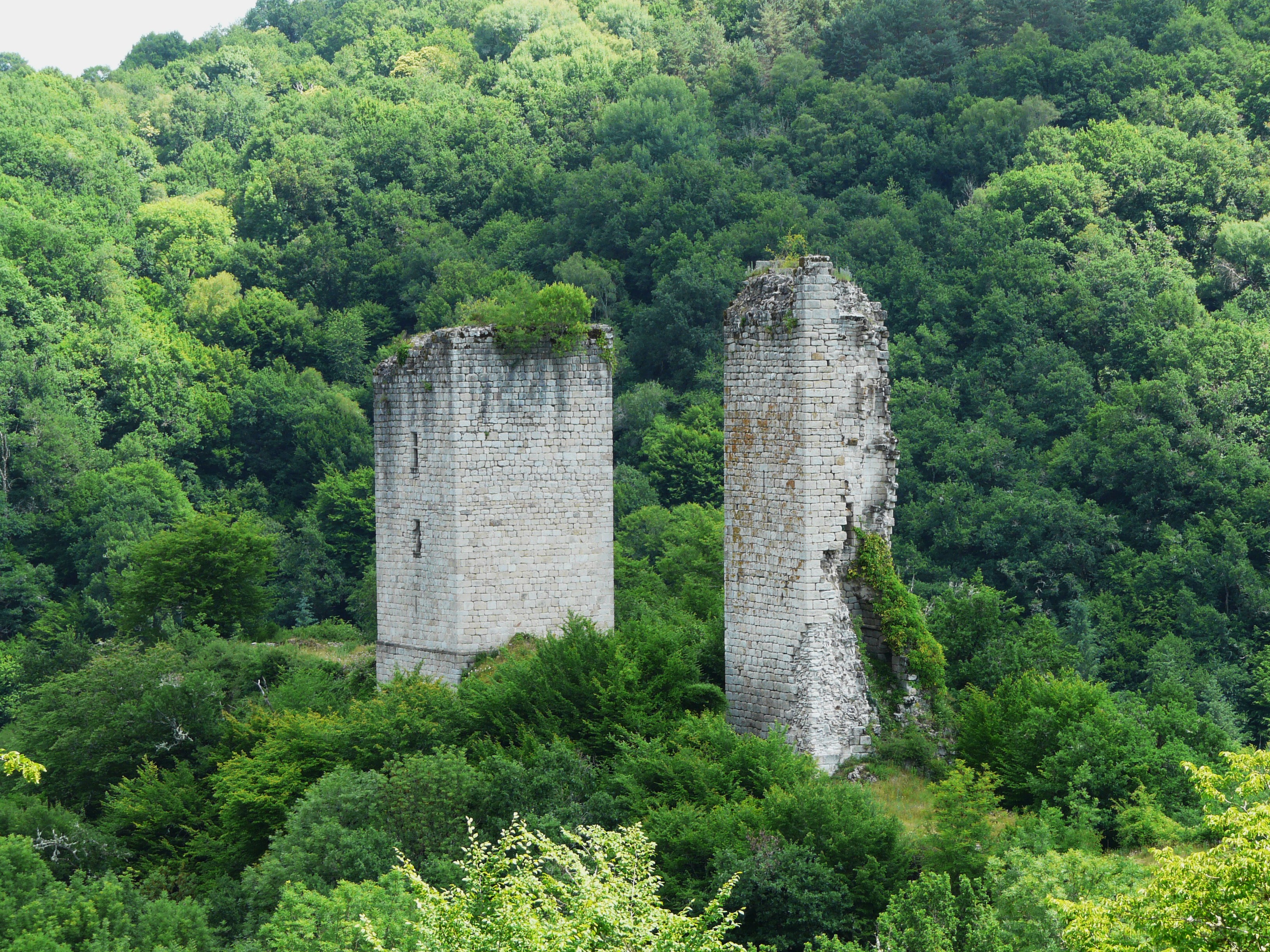 Les Tours de Carbonnières