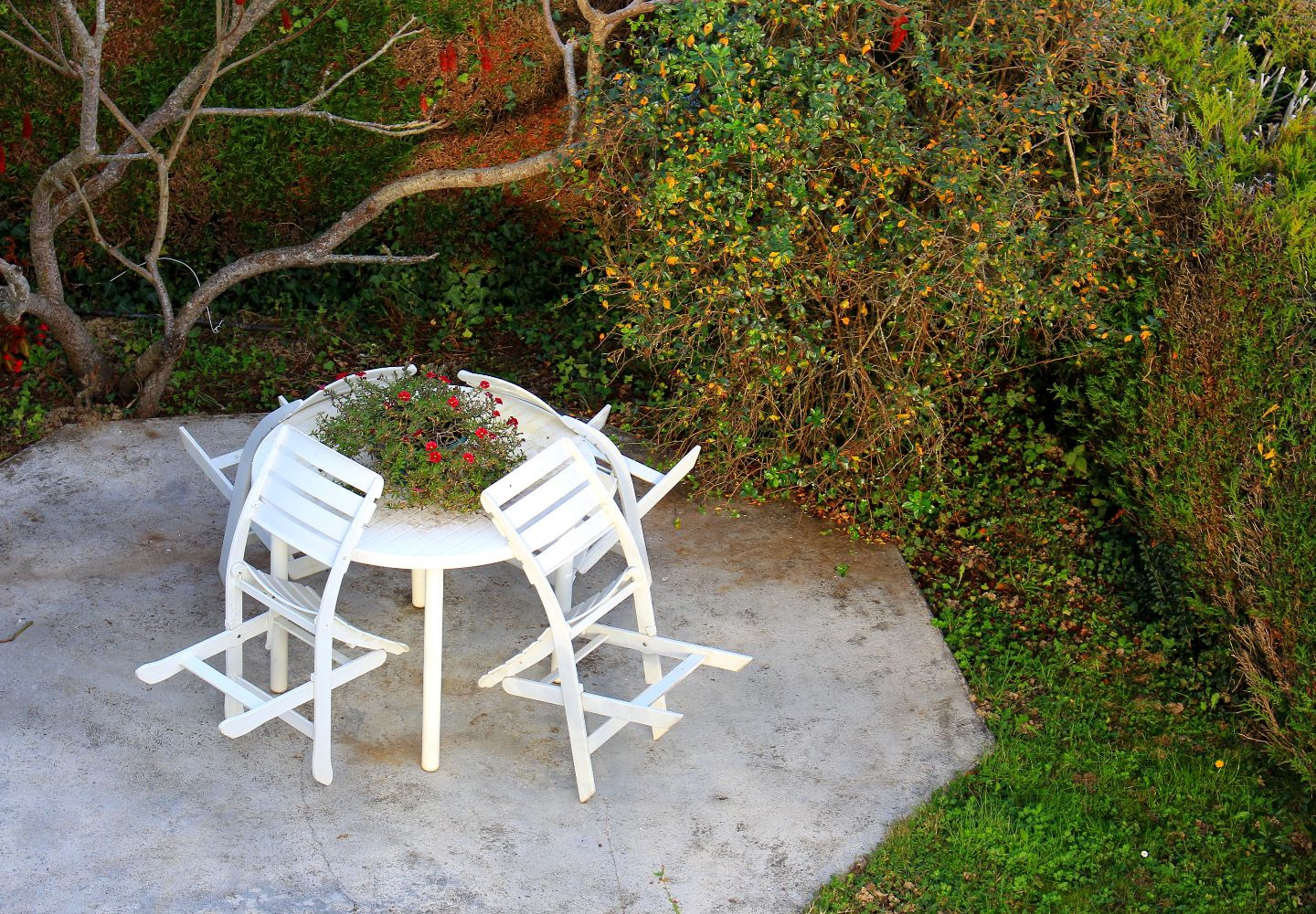 Appartement Cousinia