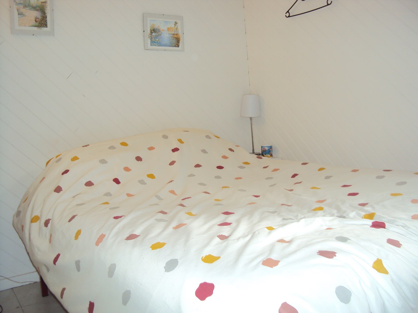 Chalet Mondarrain