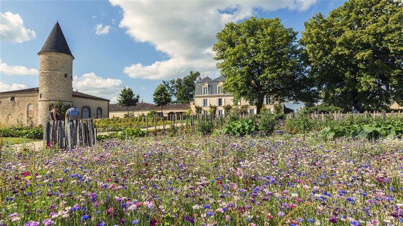 Château Guiraud