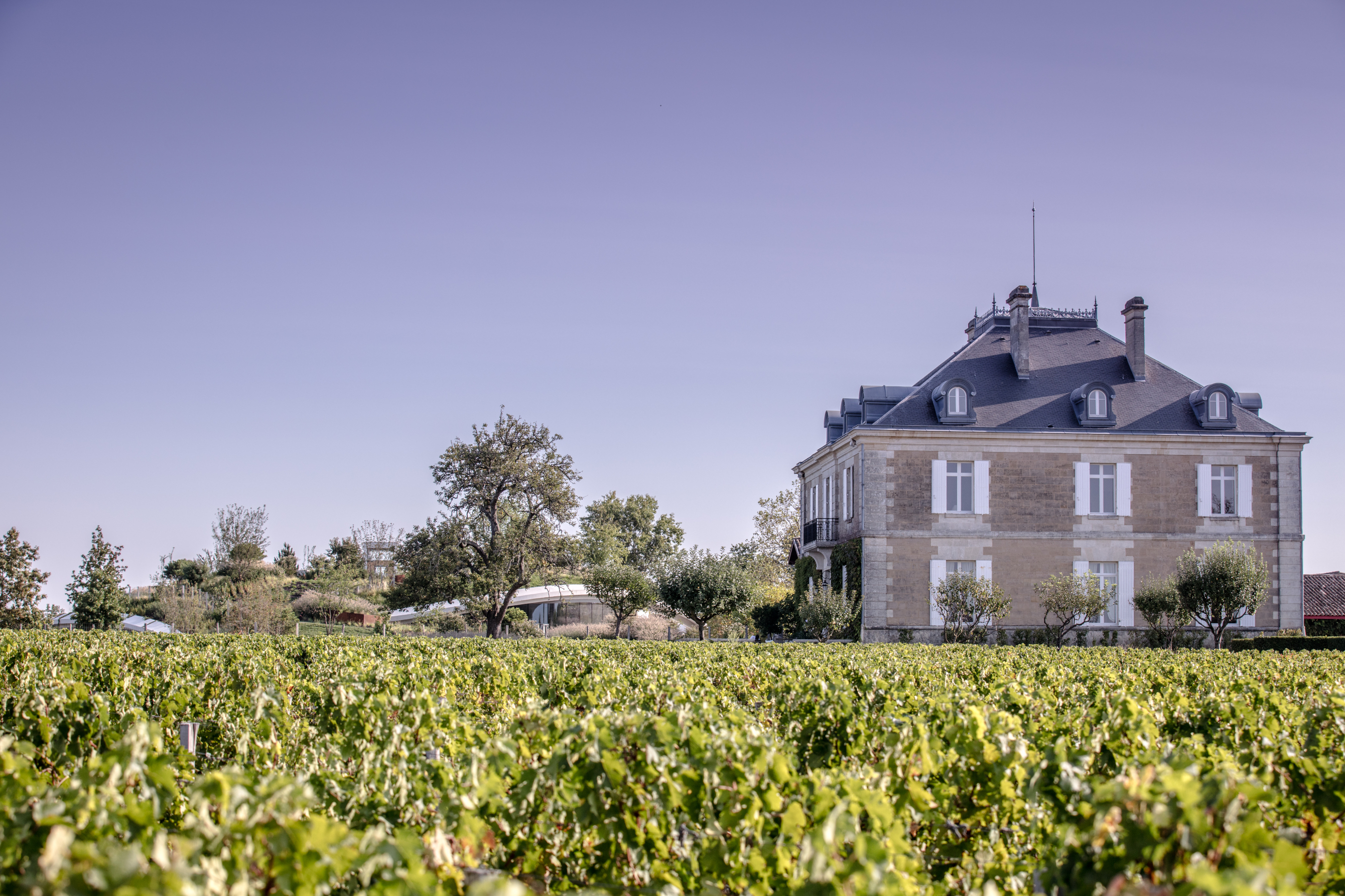 Château Haut-Bailly