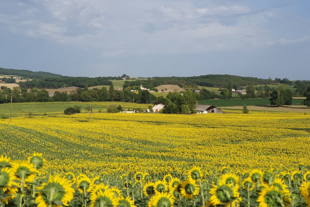 La plaine de Fresquet