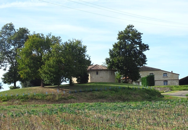 Gîte de Saint-Martin