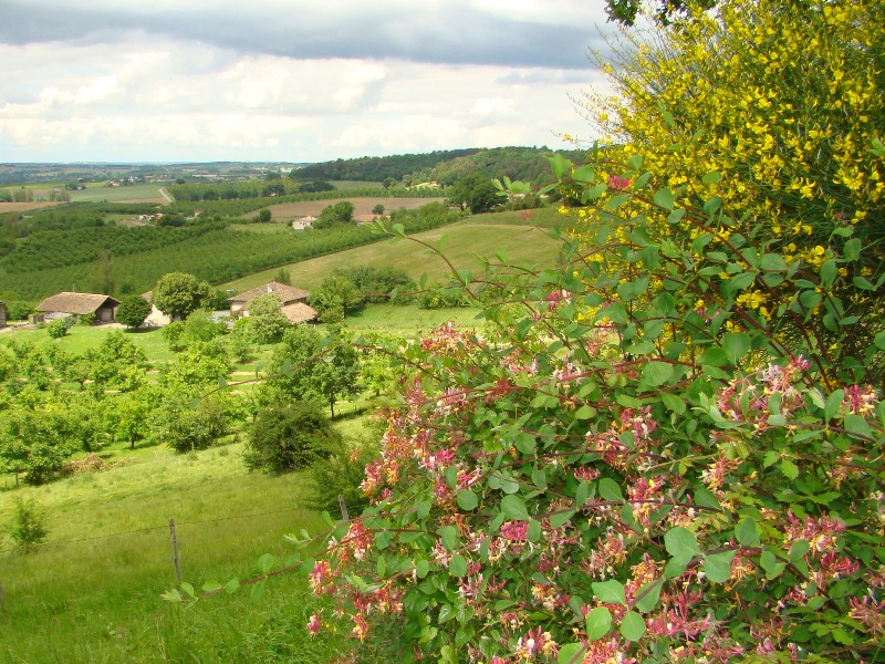 Gîte de Malvezy