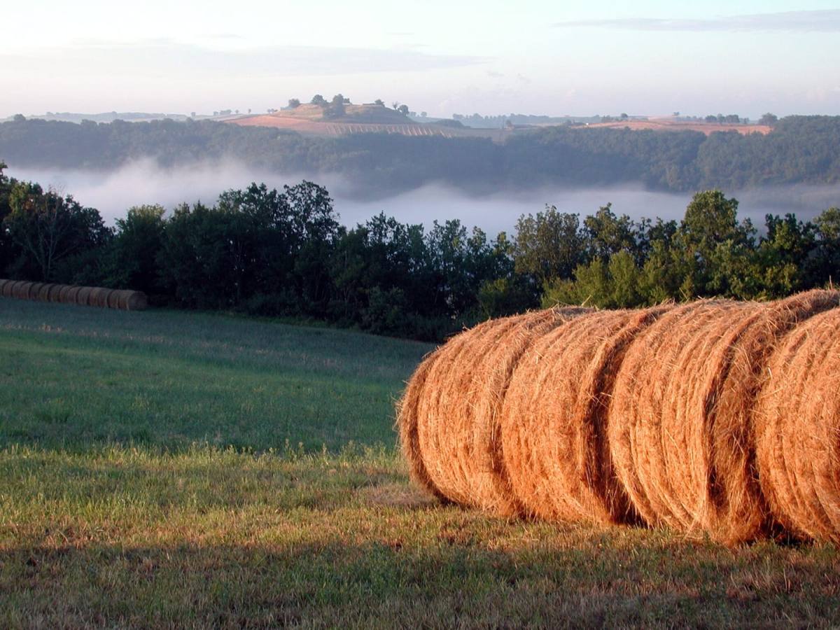 Les Hauts de Laïou