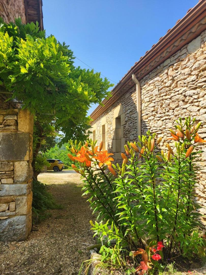 Gîte du Buguet