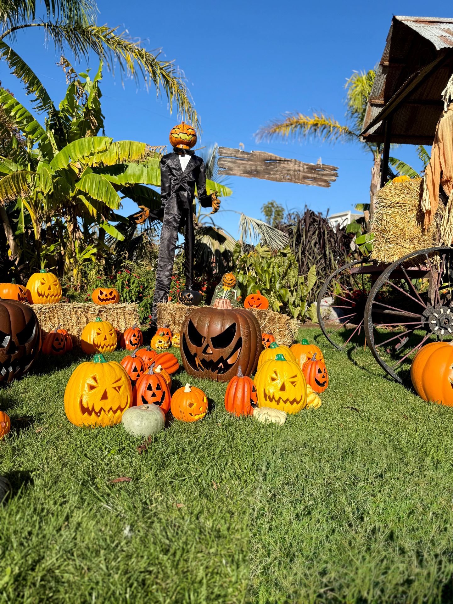 Halloween Biarritz