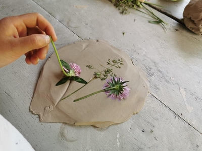 Création d'un herbier en argile, au musée gallo-romain
