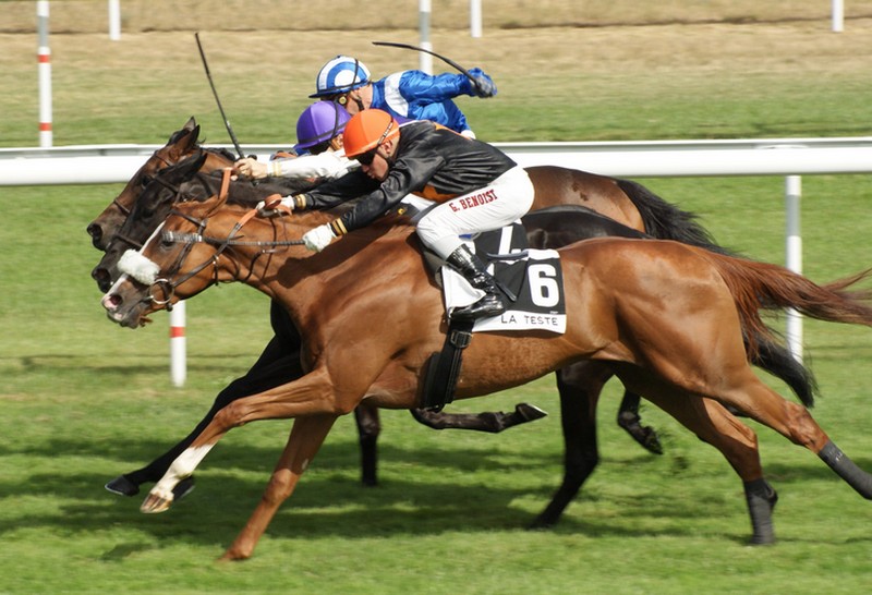 Hippodrome de La Teste-de-Buch