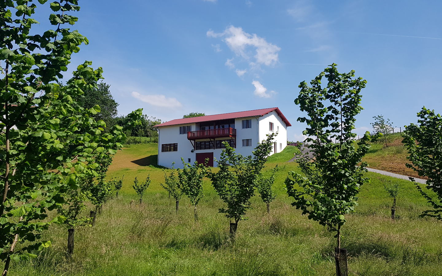 Huilerie Errota - La Noisette Basque