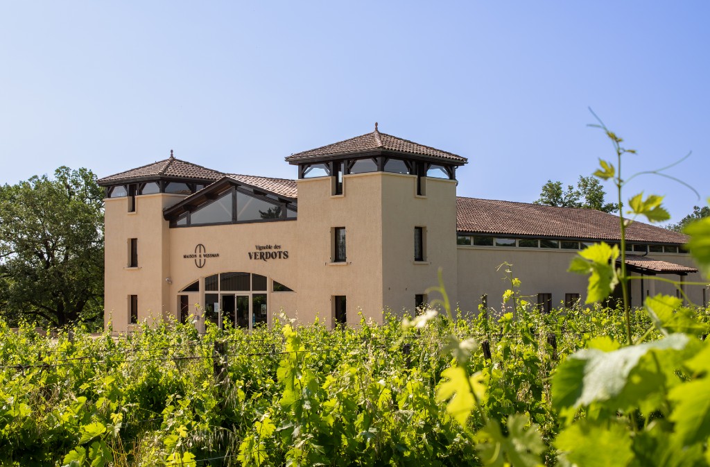 Vignoble des Verdots