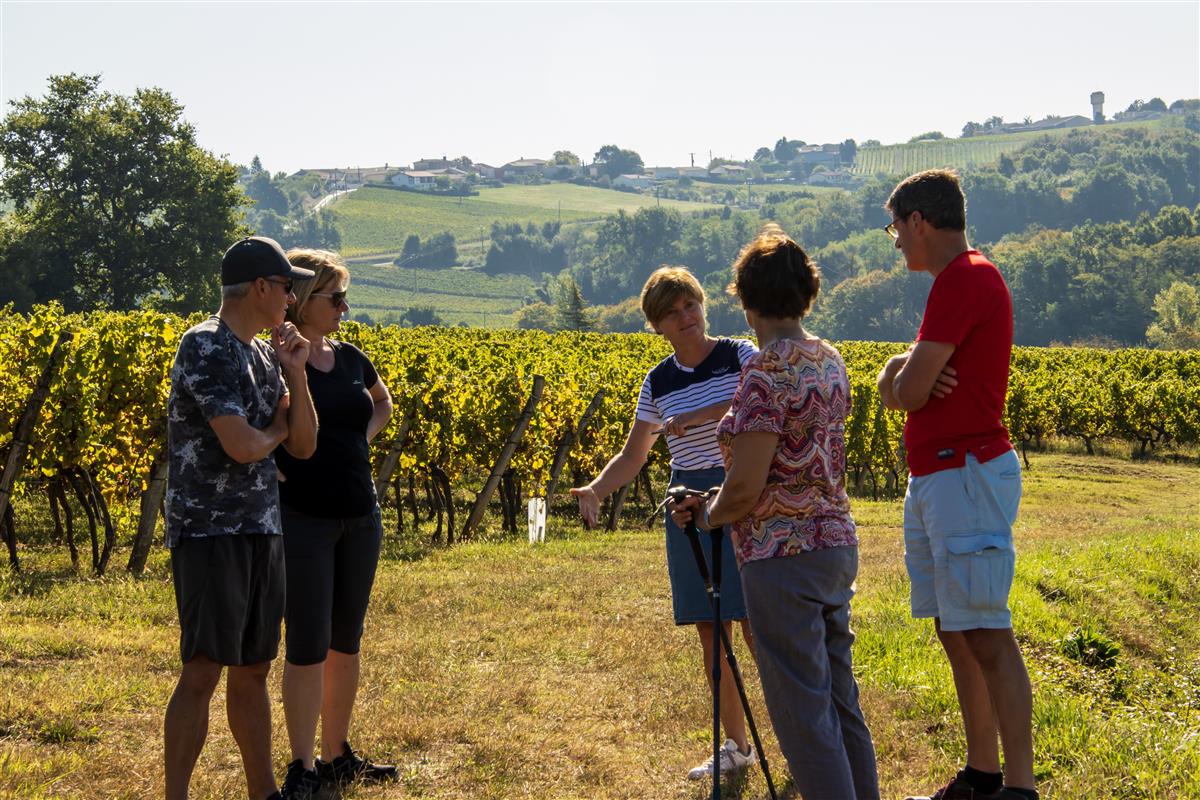 Affiche ou photo : Château Peller Laroque