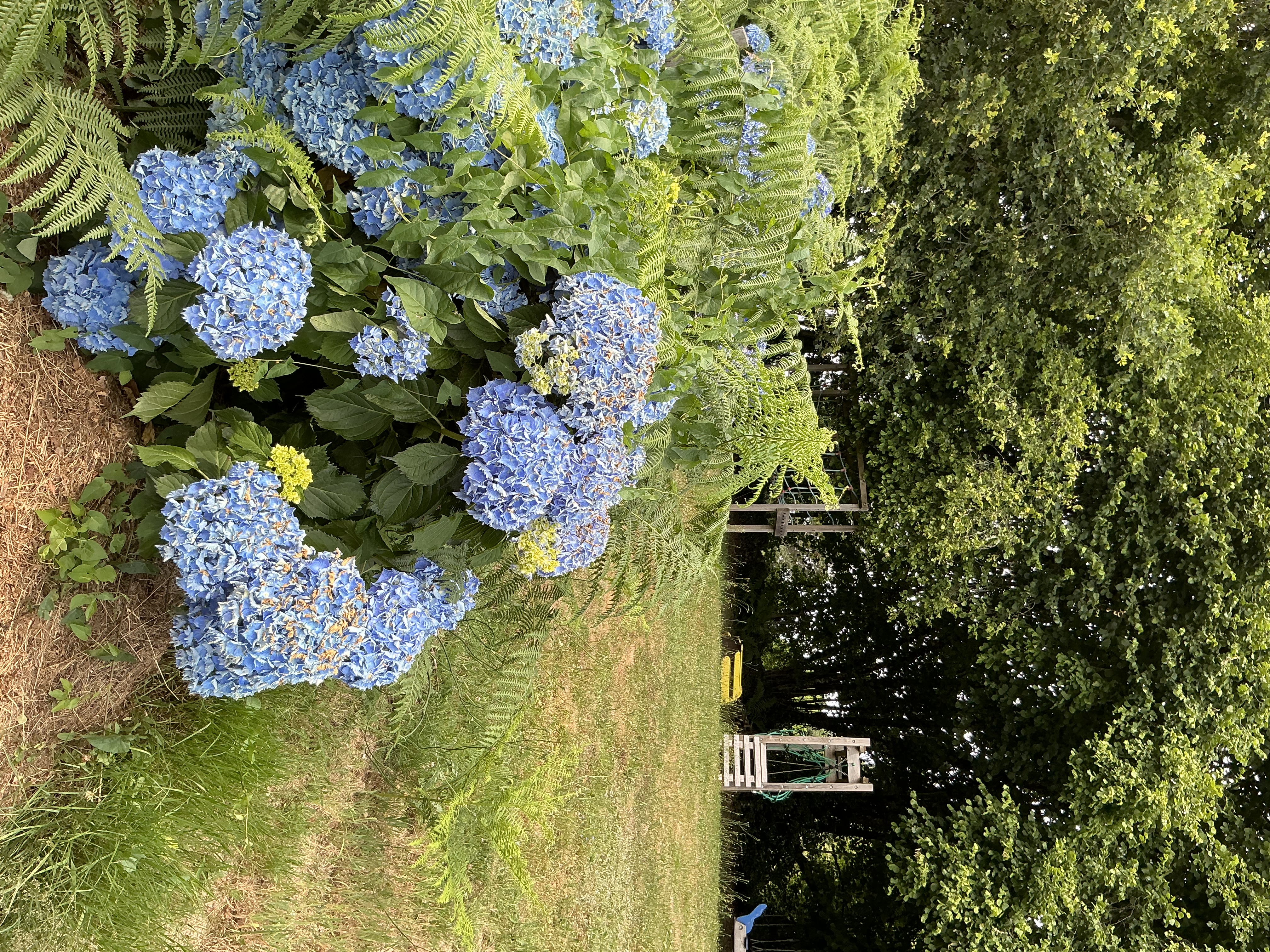 Chalet en bois Le Ruisseau - Les 3 Châtaignes