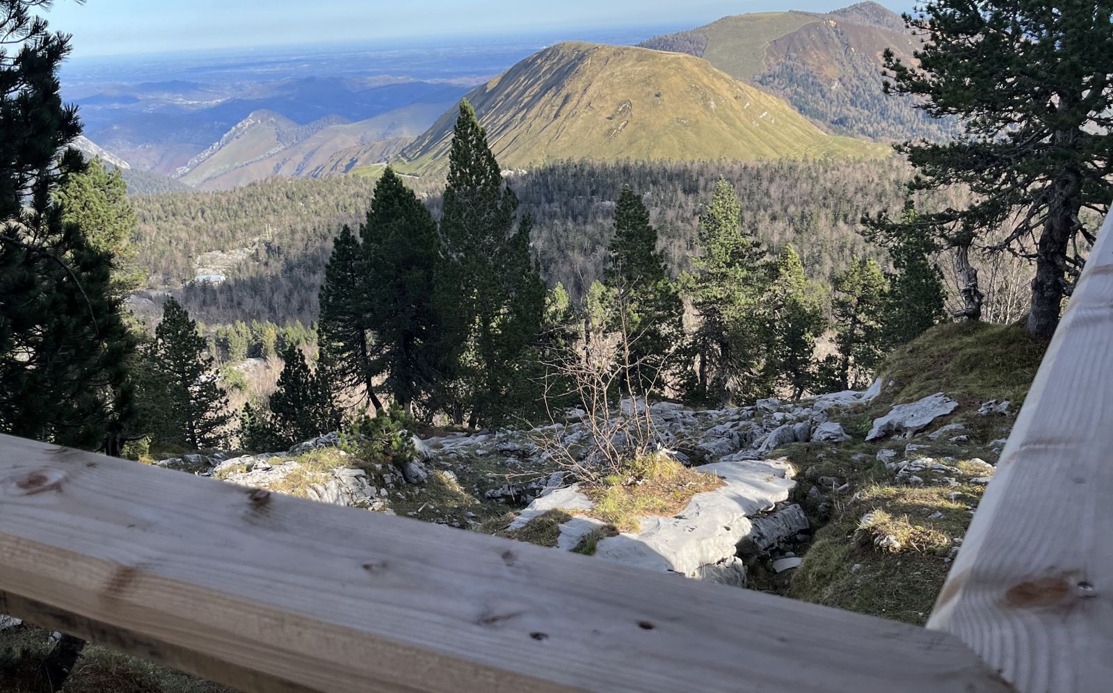 Chalet des Myrtilles (Rez-de-chaussée)