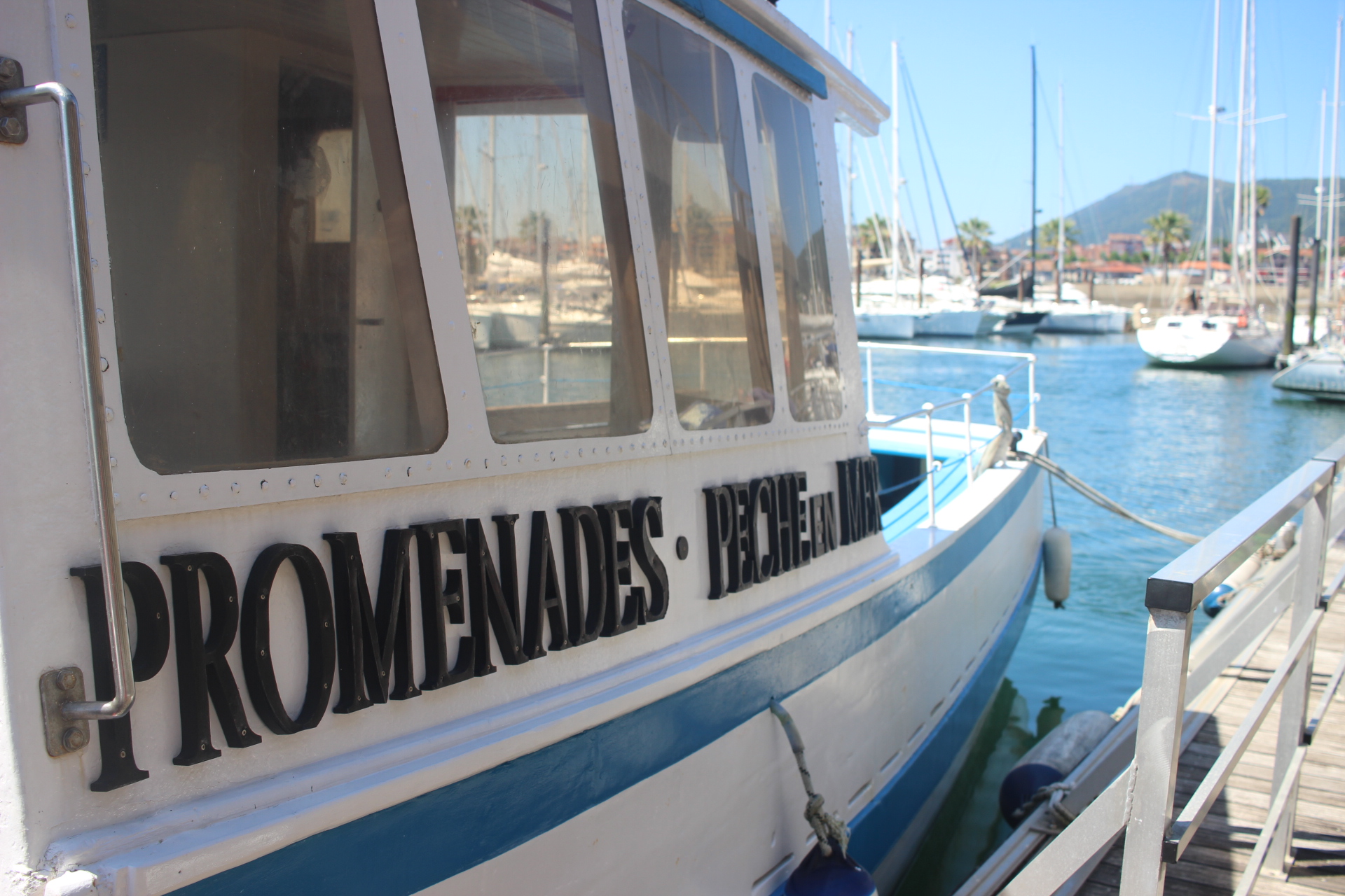 Bateau Hendayais II - Promenades en mer