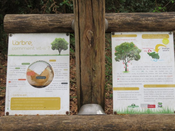 Balade à roulettes : La forêt du Taillan 2 - Impraticable
